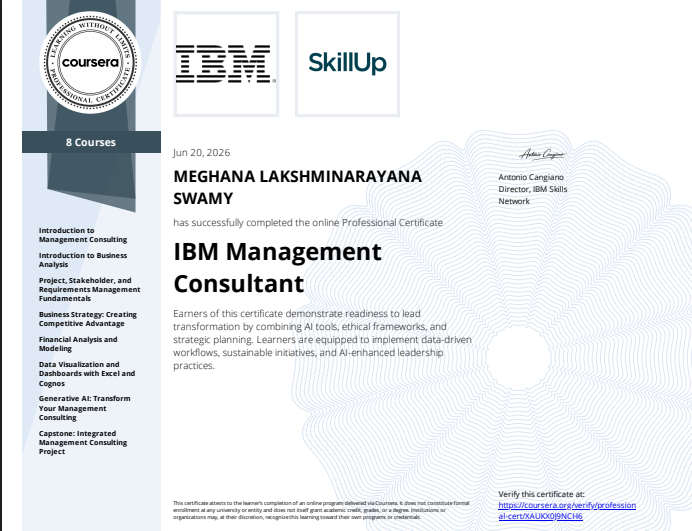 IBM Management Consultant